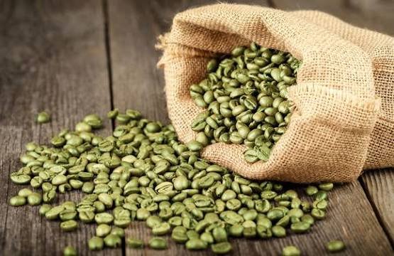 Green Coffee Extract