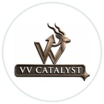 VV CATALYST PVT. LTD.